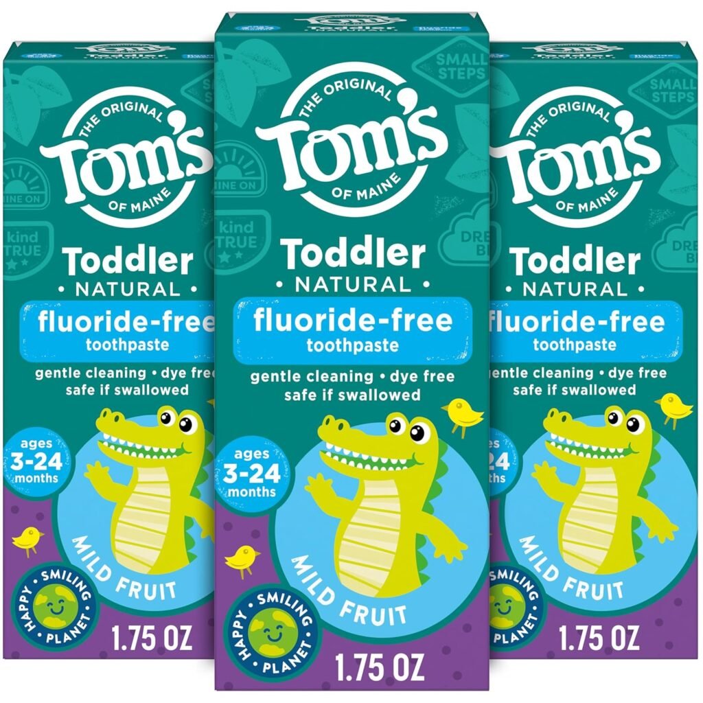 Tom’s of Maine Fluoride-Free Toddler Training Toothpaste, Mild Fruit, 1.75 oz. 3-Pack (Packaging May Vary)